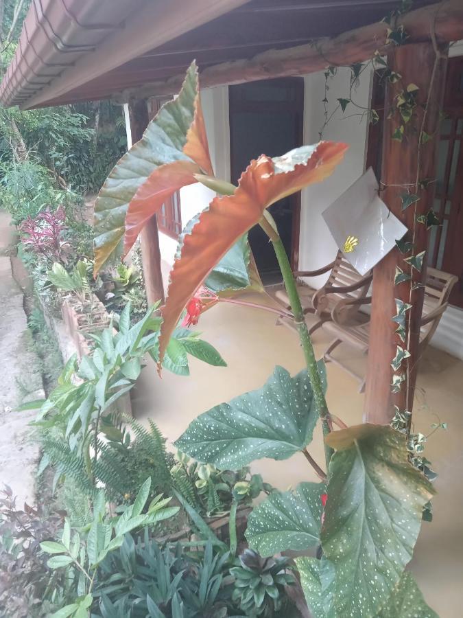 Supipi Homestay Ella Esterno foto