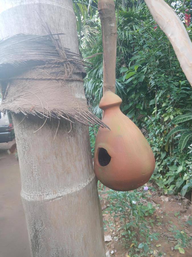 Supipi Homestay Ella Esterno foto