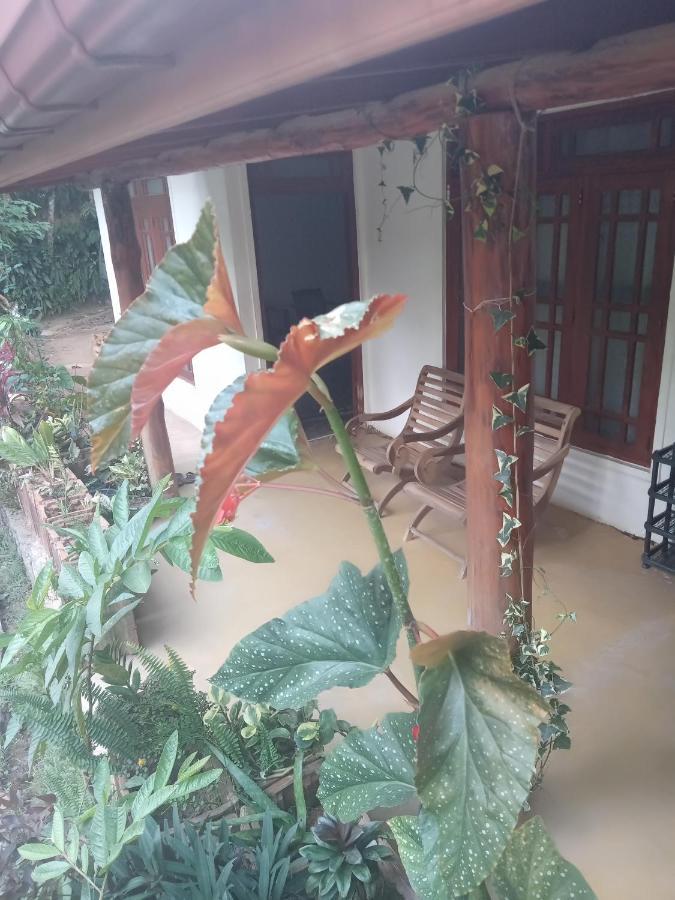 Supipi Homestay Ella Esterno foto