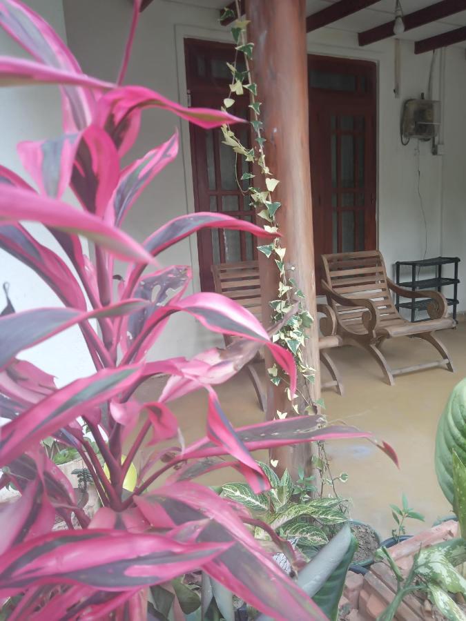 Supipi Homestay Ella Esterno foto