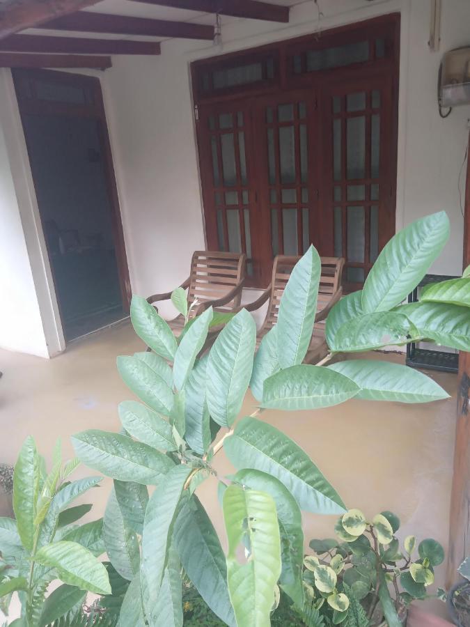 Supipi Homestay Ella Esterno foto